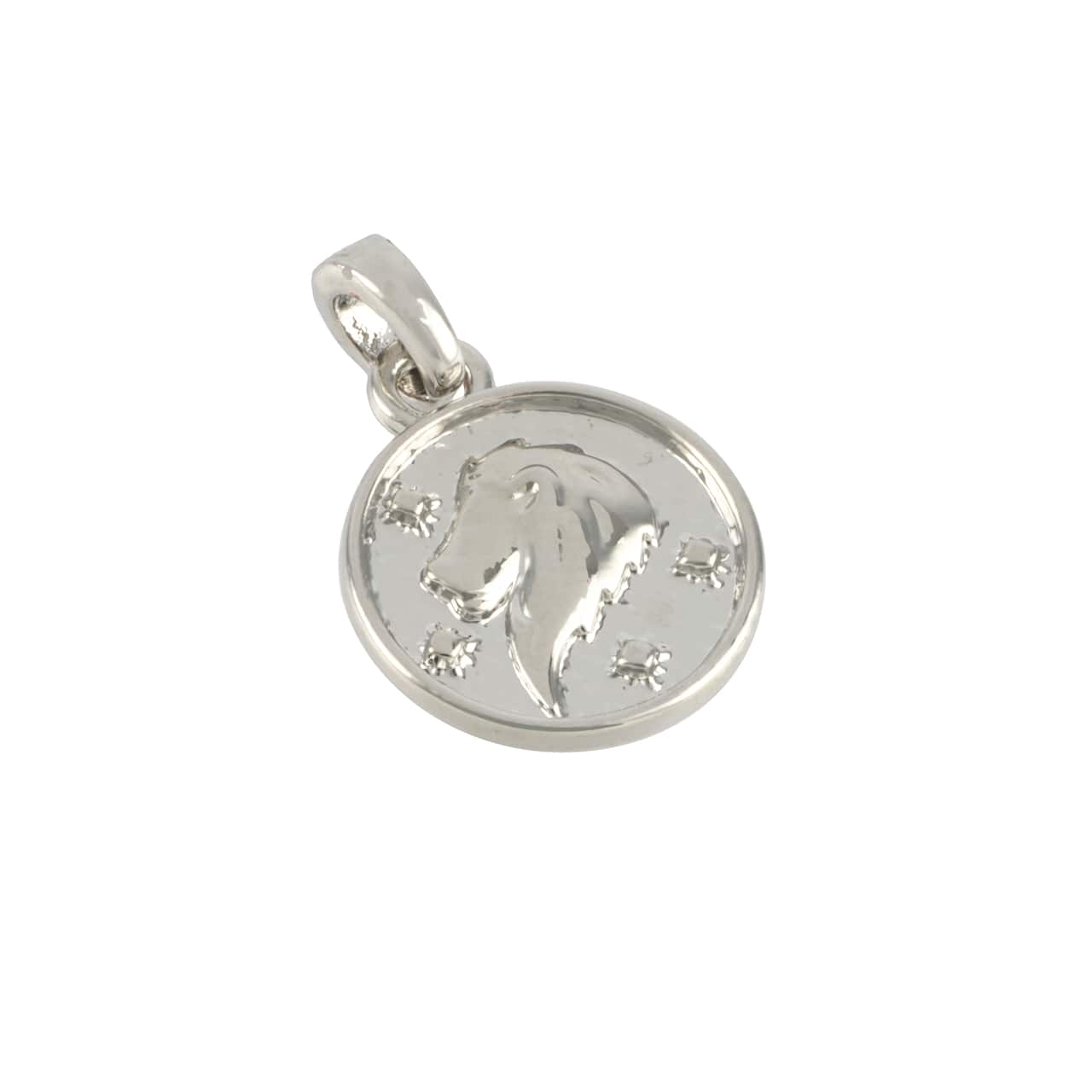 12 Pack: Metal Zodiac Coin Charm by Bead Landing™